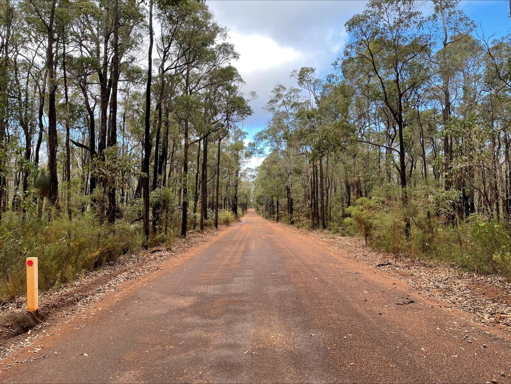 Typical Class 2 Road in the Shire of Nannup