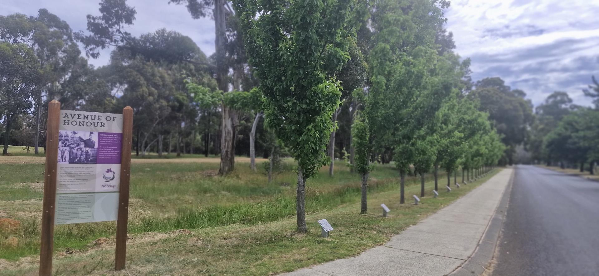 The Avenue of Honour Image