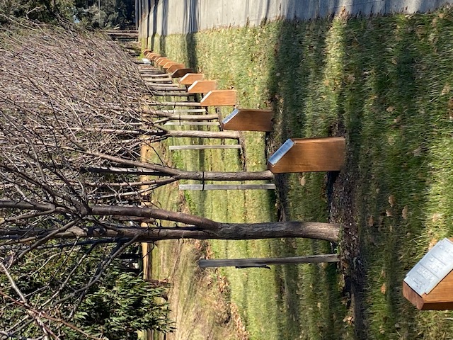 📖 Read the story of Bertram John Wire Image