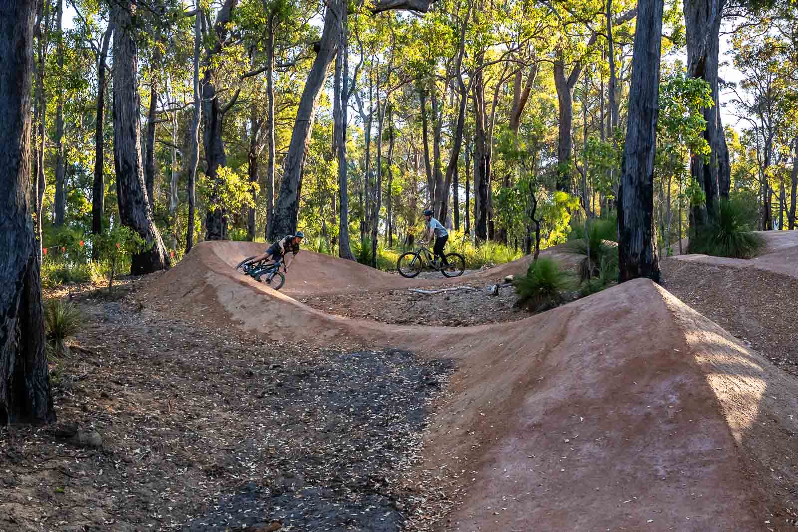 Ngoolark MTB Jump Park Image