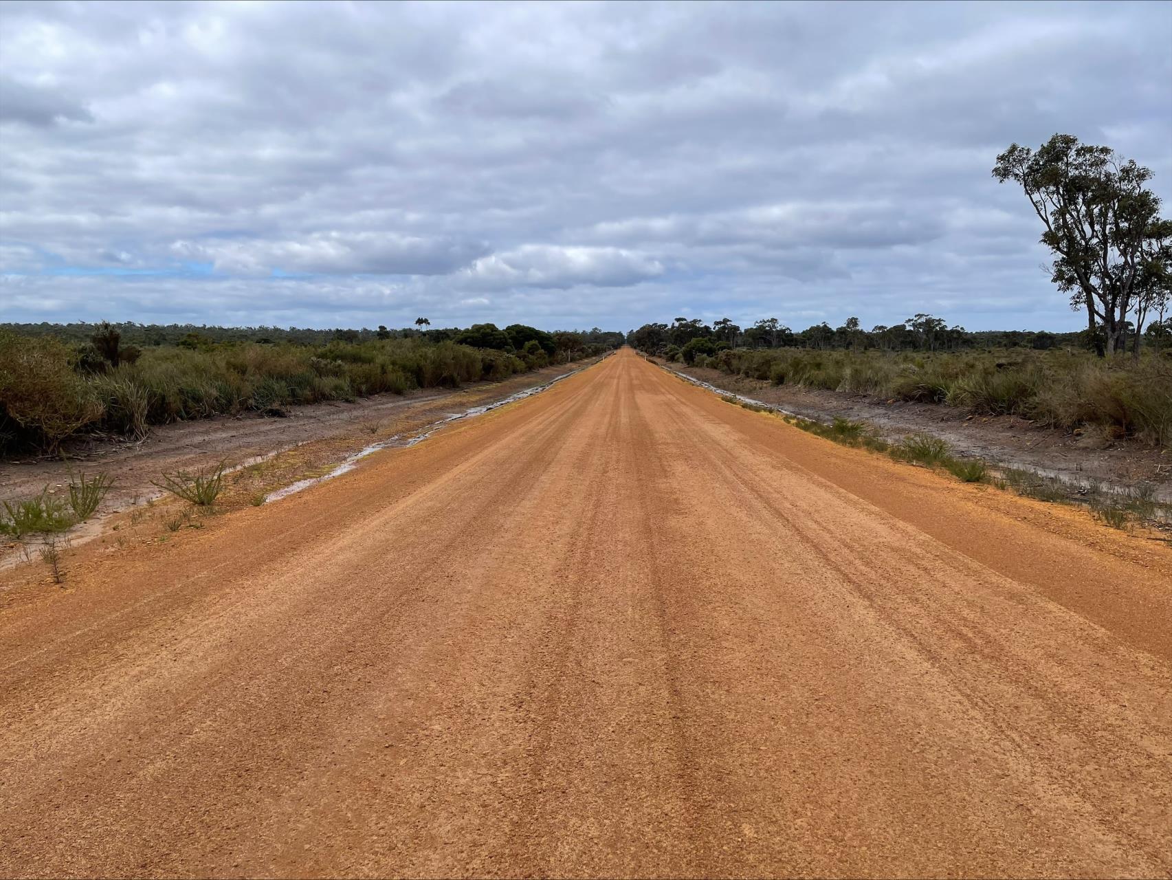 Typical Class 1 Road in the Shire of Nannup