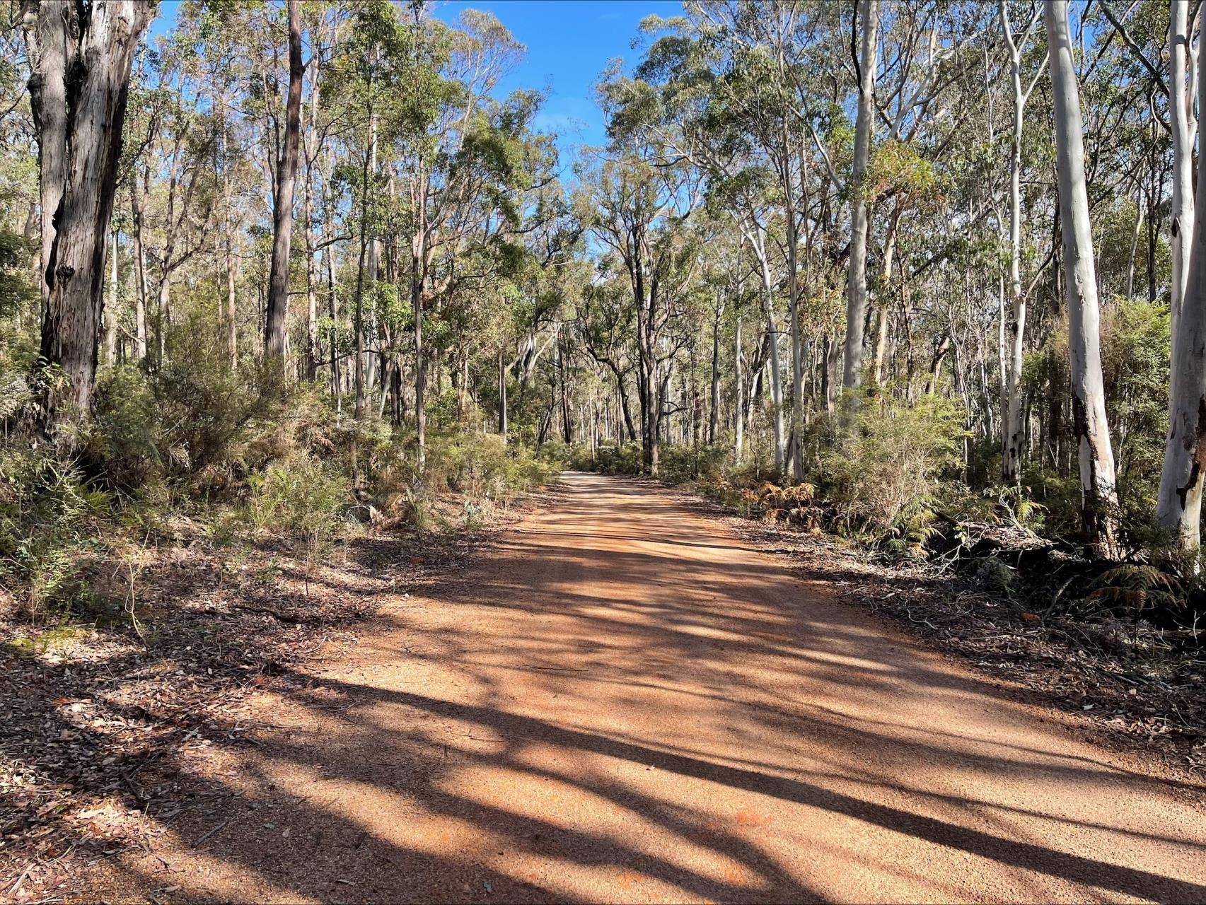 Typical Class 3 Road in the Shire of Nannup