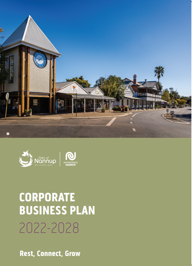 Corporate Business Plan 2017-2021