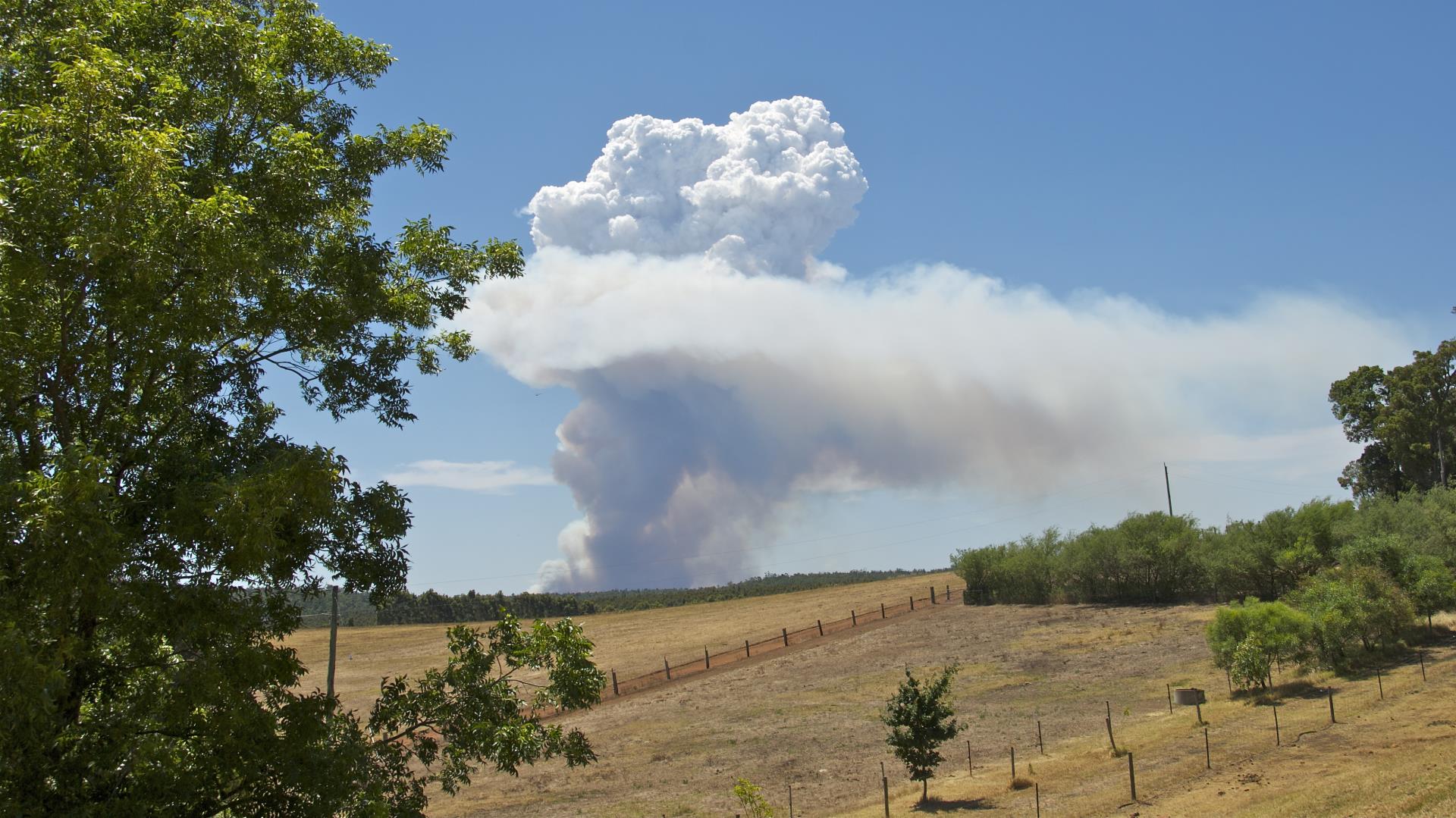 Bushfire Land-Use Planning Image