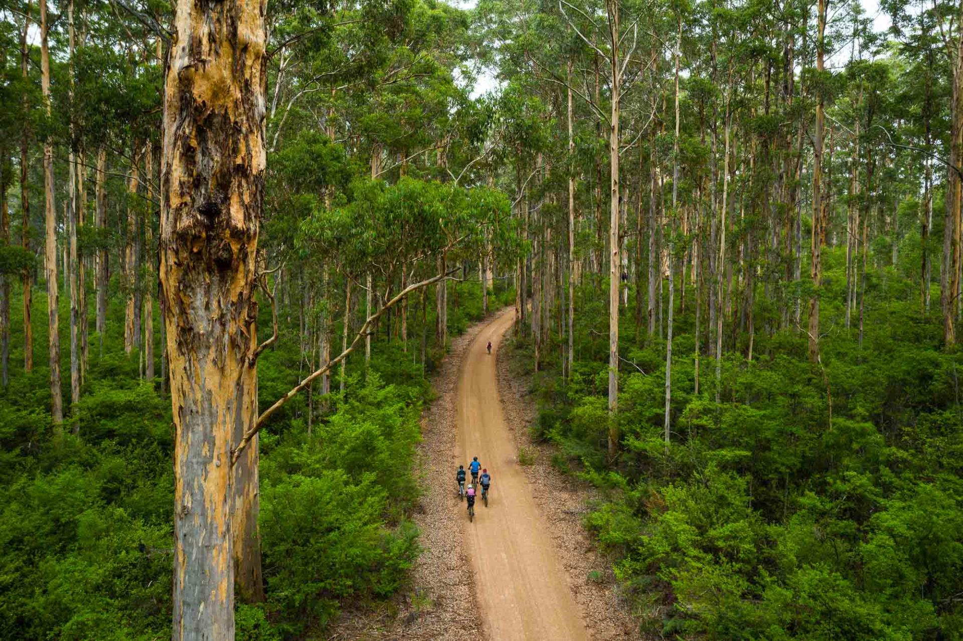 Become a Trail Friendly Business Image