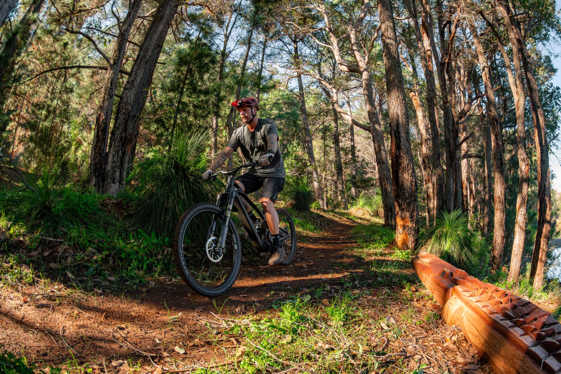 Pine Ridge MTB Park Image