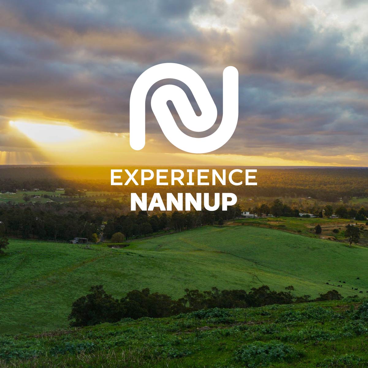 Tourism Growth Forecasts and New WA Visitor Data