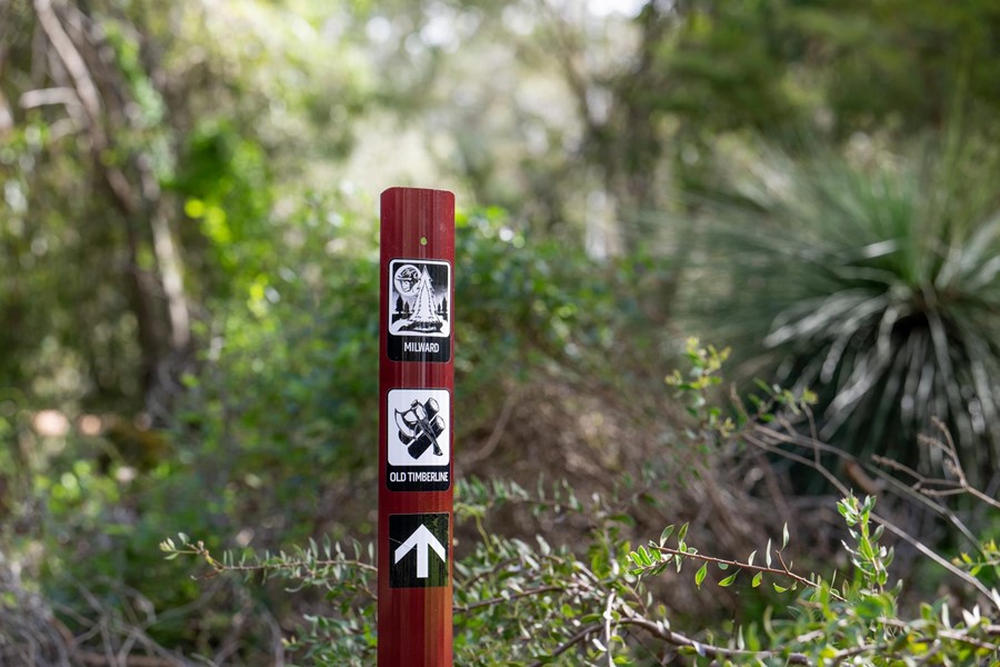 Photo: Share Your Views on the Future of Trails in the Warren Blackwood Region in a survey from the Warren Blackwood Alliance of Councils to develop a new Regional Trails Strategy.