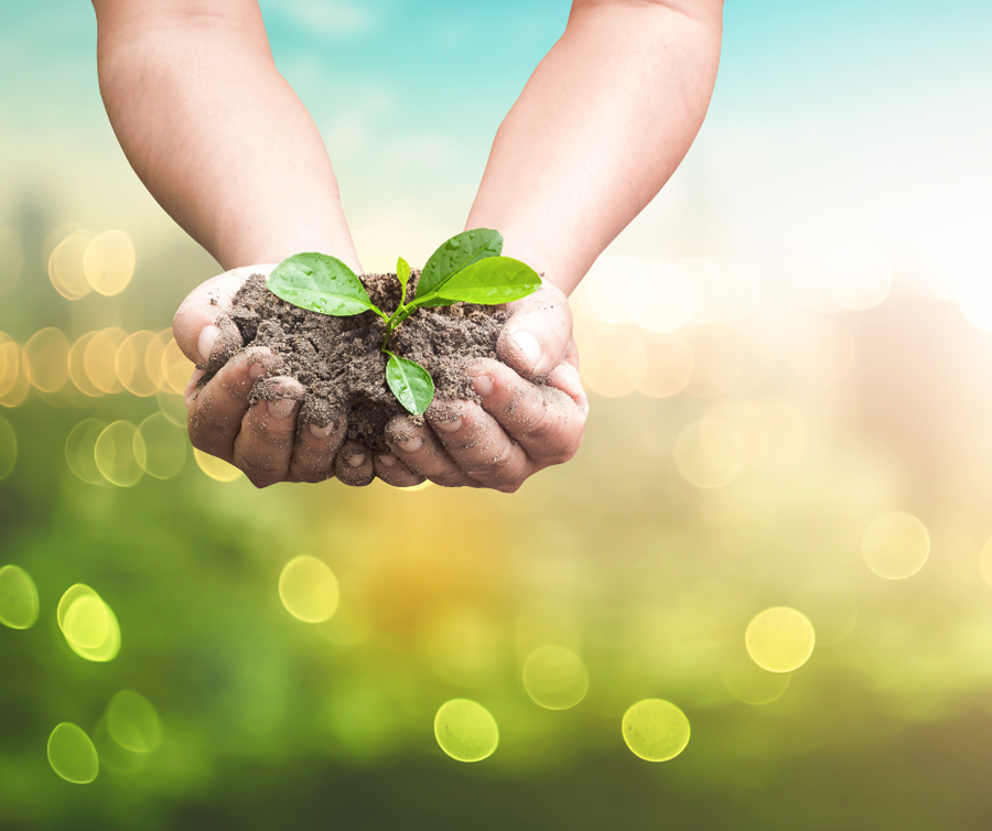 Photo: 🌱 Have Your Say! Help Shape Our Next 10 Years. A major review of the Nannup Strategic Community Plan 2021–2036 is underway.