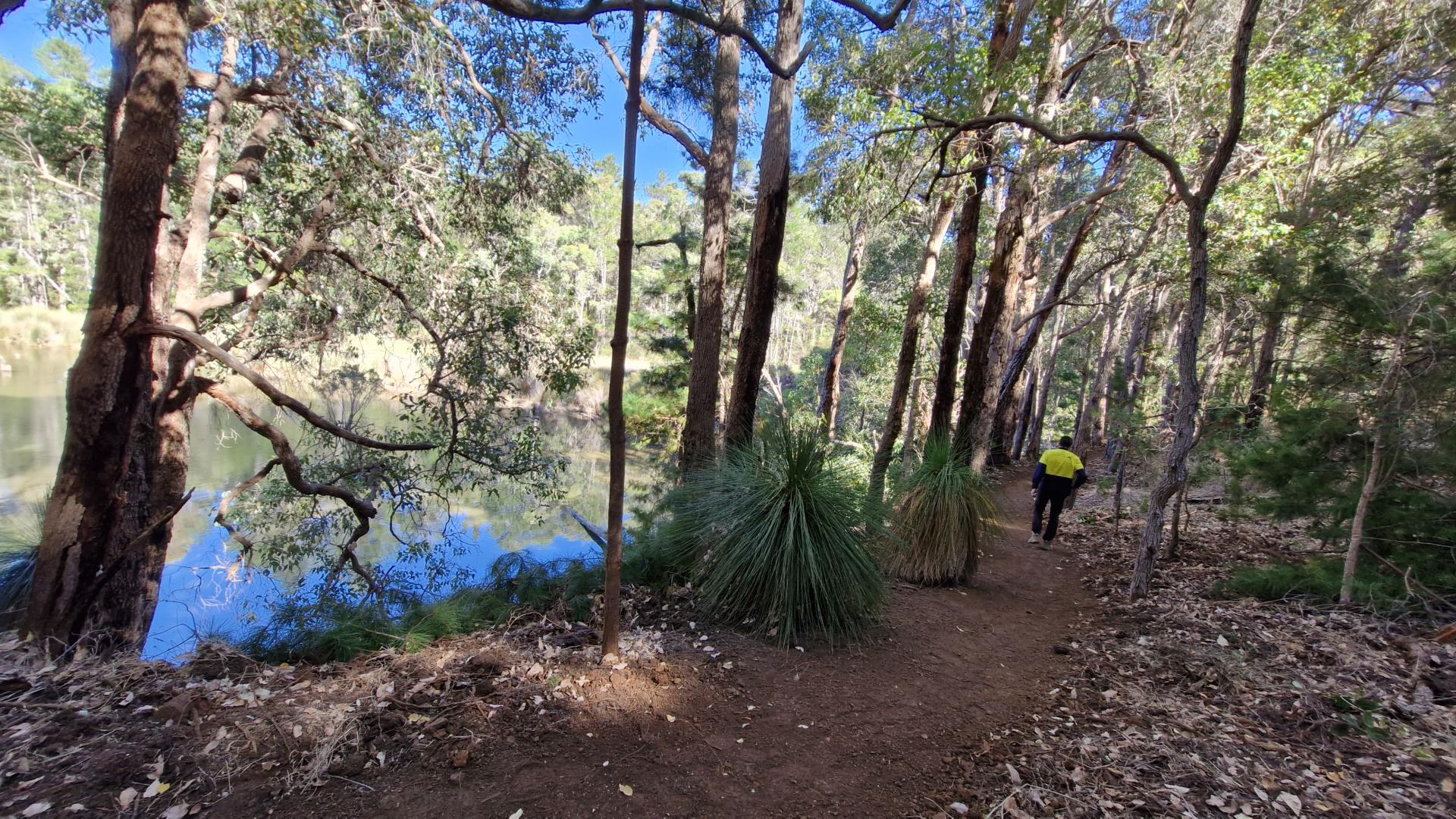 Pine Ridge at Millward– From Pioneers to MTB Park