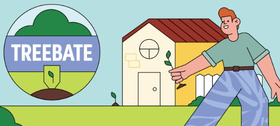 The WA TREE REBATE PROGRAM is here!