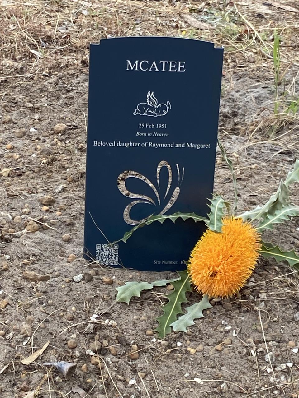 Students Volunteer at Nannup's Cemetery