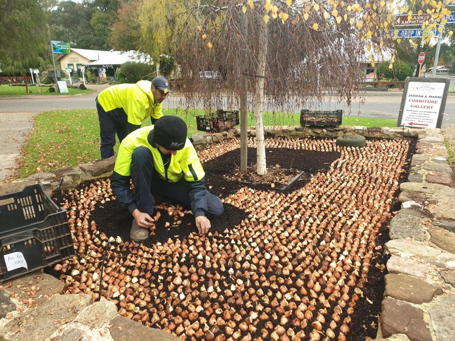 Photo: Behind the Blooms: How Nannup Comes to Life for the Flower and Garden Festival Each year, as winter settles in across Nannup, a quiet transformation begins...