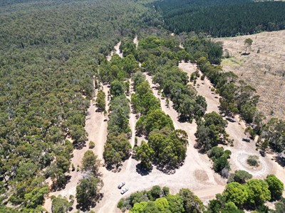 Image: Pine Ridge (Native Forest) MTB Park Site Update